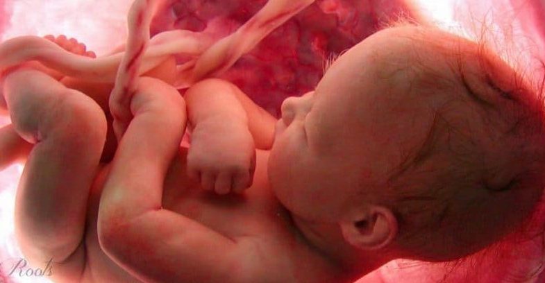 Where Do You Feel Baby Kicks During Pregnancy?